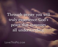 /album/photo-gallery-homepage/quote-26-jpg/